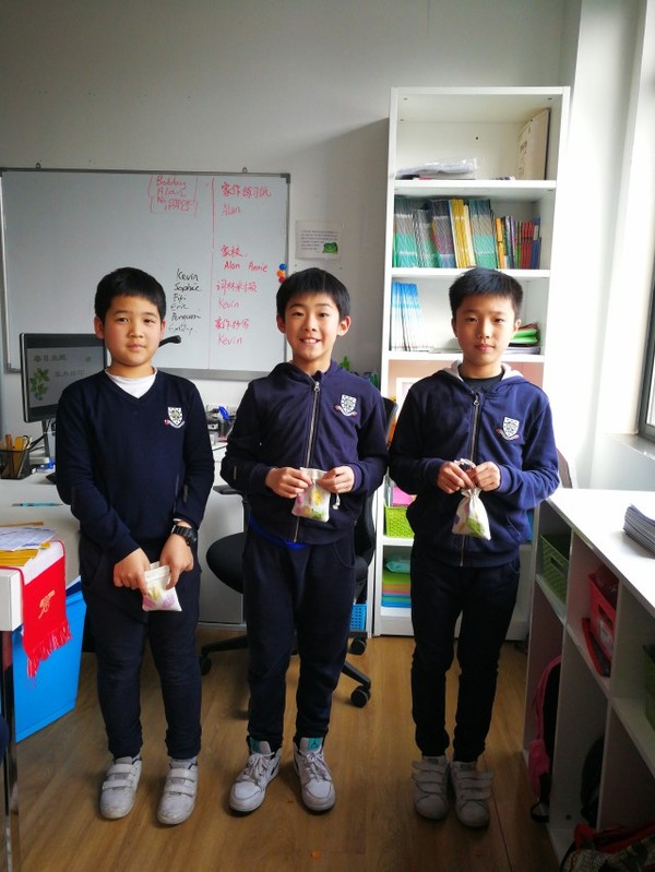 古老的草木拓印,留住植物最美的一刻