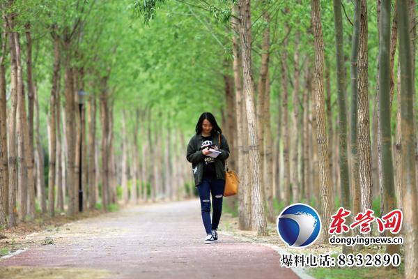 東營生態(tài)園林與城市公園建設掠影