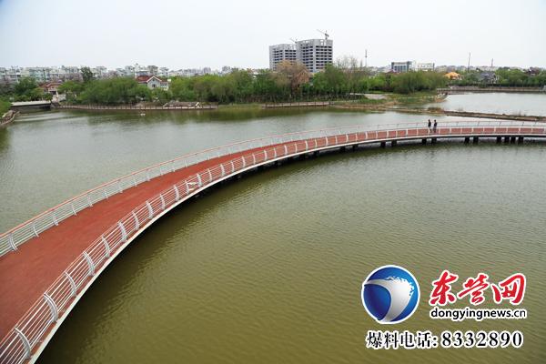 東營生態(tài)園林與城市公園建設掠影