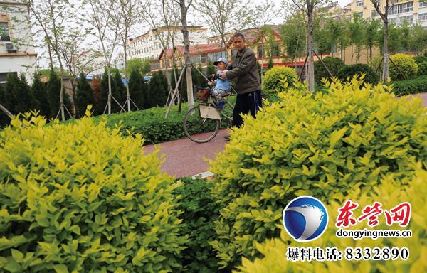 東營生態(tài)園林與城市公園建設掠影