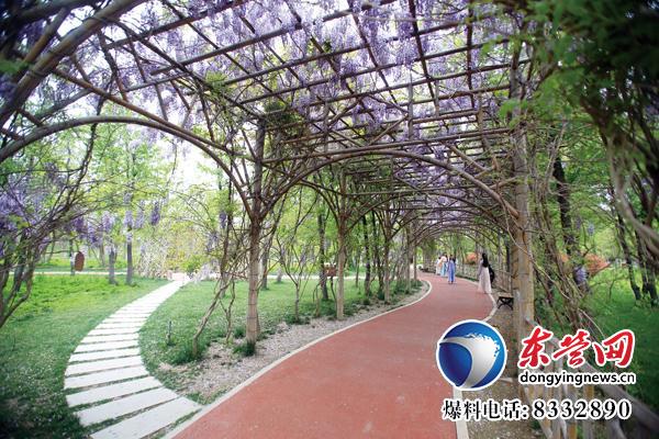 東營生態(tài)園林與城市公園建設掠影