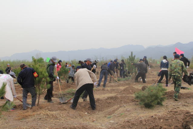 森源達(dá)積極參與中央國家機(jī)關(guān)單位義務(wù)植樹活動(dòng)