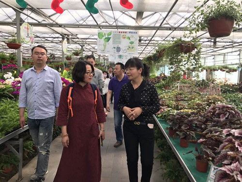 中國風景園林網員工到世界花卉大觀園感受春光