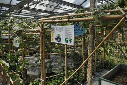 中國風景園林網員工到世界花卉大觀園感受春光