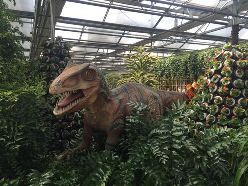 中國風景園林網員工到世界花卉大觀園感受春光