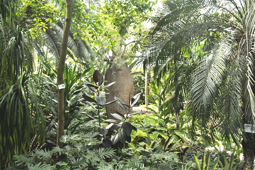 中國風景園林網考察世界花卉大觀園