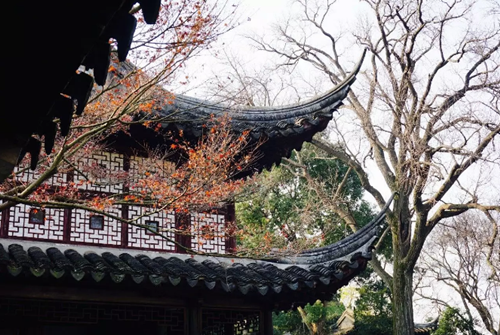 蘇州園林：建筑構成布局自由的典型