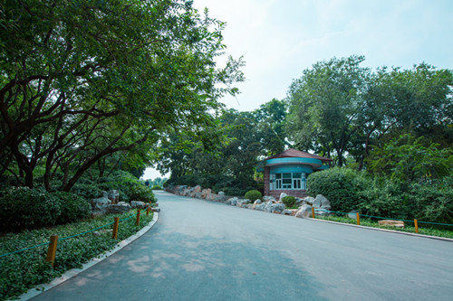 案例:濟南泉城公園防災避險規劃設計