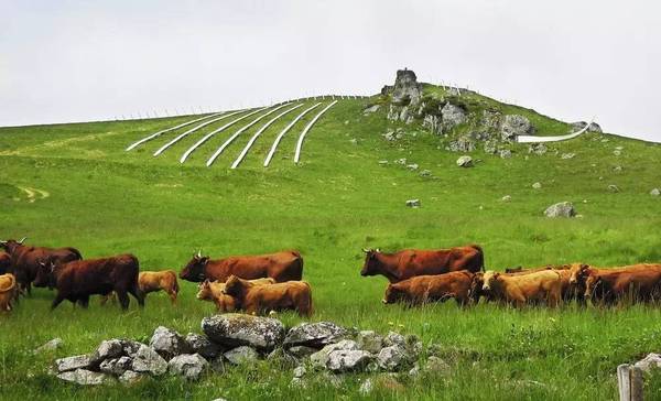法國Arteology紀念雕塑