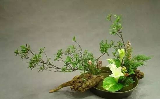 東方插花三大原則,構(gòu)圖表現(xiàn)形式和十三要訣