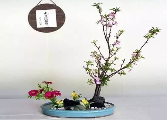 東方插花三大原則,構(gòu)圖表現(xiàn)形式和十三要訣