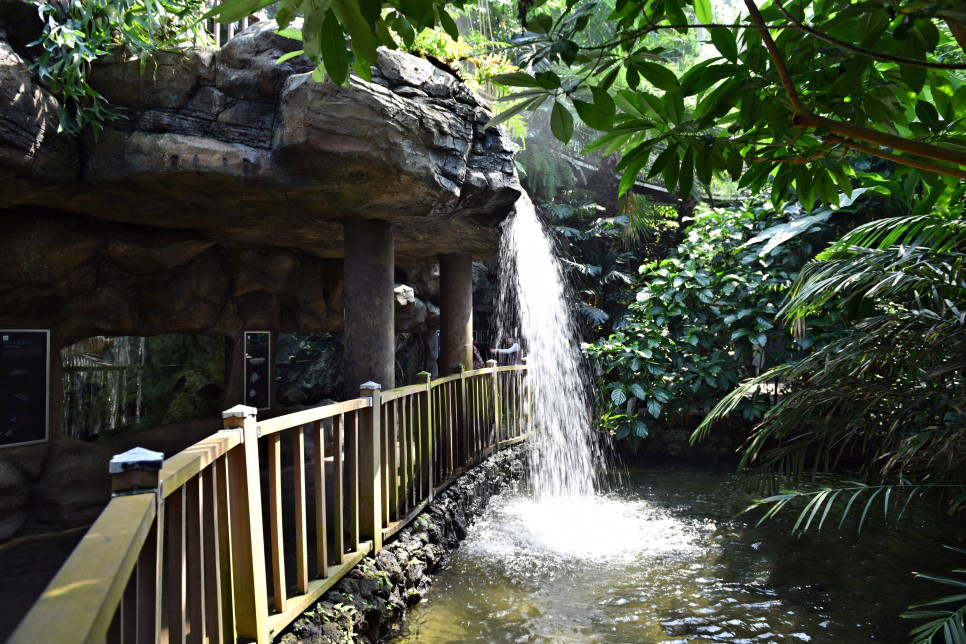 【周四原創】韓國舒川國立生態園設計