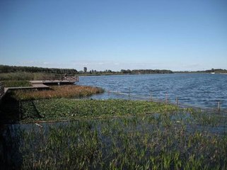 國(guó)際優(yōu)秀設(shè)計(jì)師作品交流會(huì)檀馨演講實(shí)錄