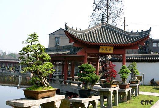 江陵盆景園:盆景與園林藝術為一體的公園