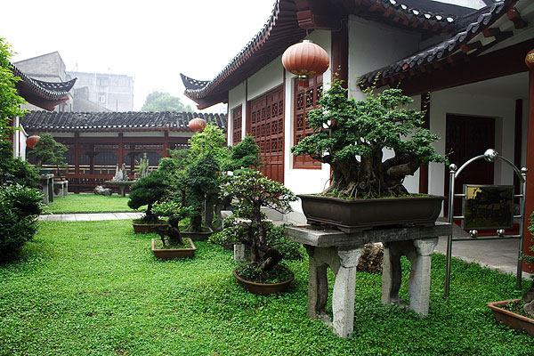江陵盆景園:盆景與園林藝術為一體的公園