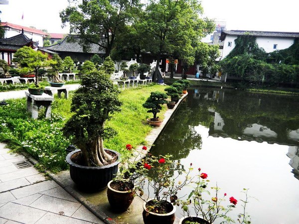 江陵盆景園:盆景與園林藝術為一體的公園