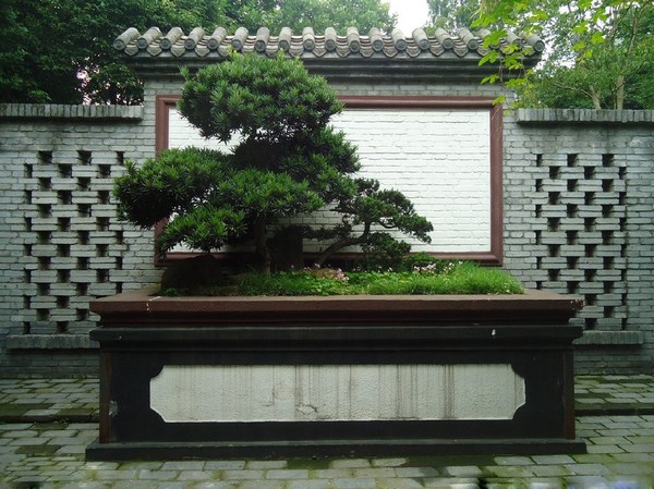 江陵盆景園:盆景與園林藝術為一體的公園