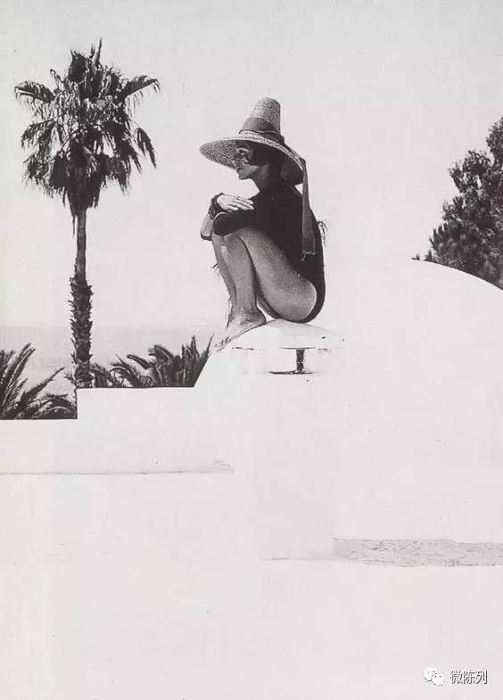 櫥窗布置:植物世界可以多極致?