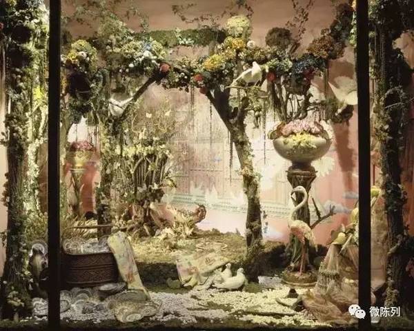 櫥窗布置:植物世界可以多極致?