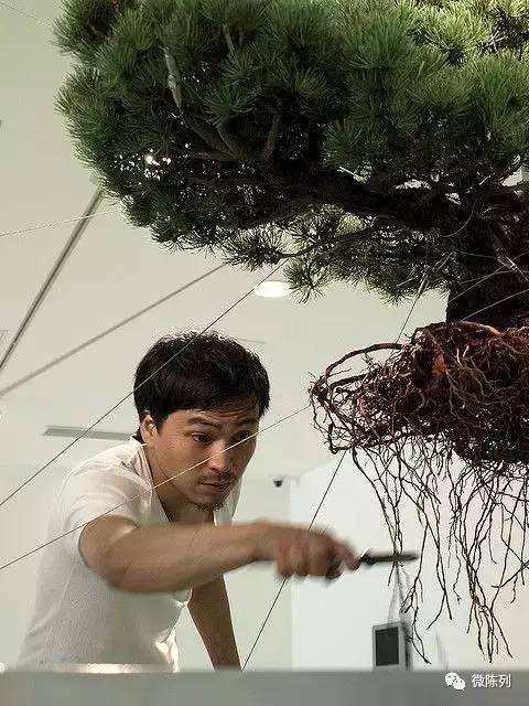 櫥窗布置：植物世界可以多極致？