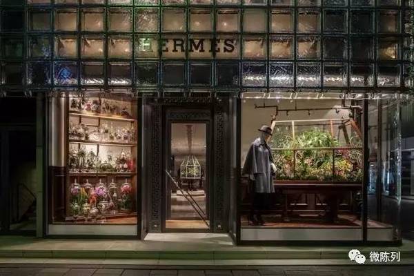 櫥窗布置：植物世界可以多極致？