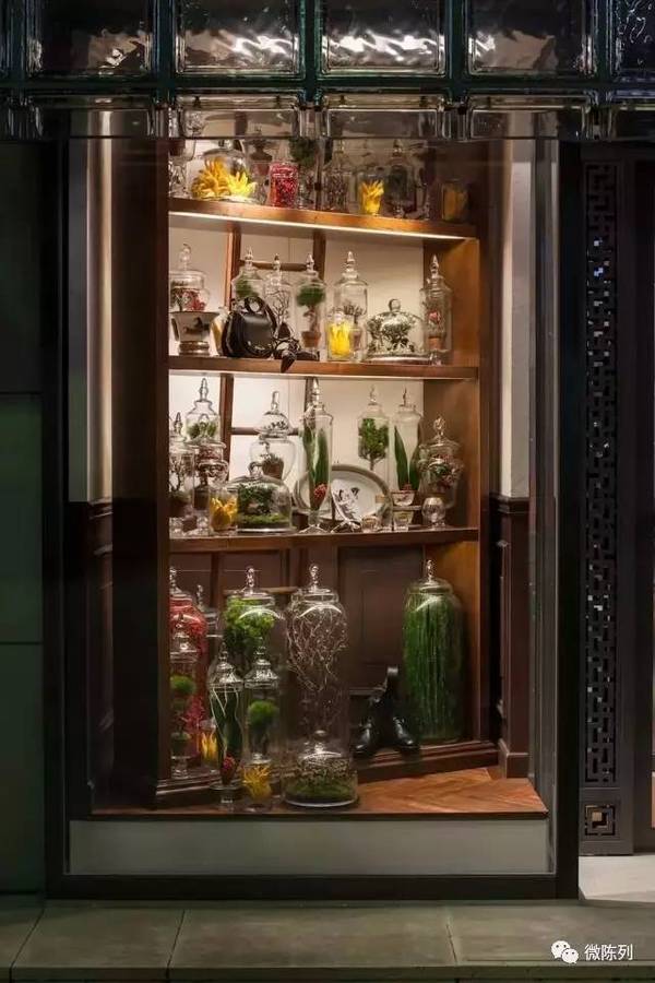 櫥窗布置：植物世界可以多極致？