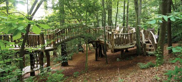 案例賞析：適合所有年齡人群的神秘園