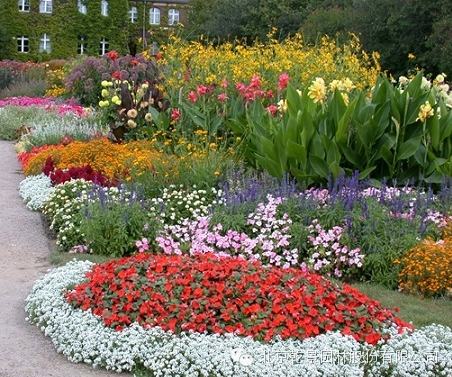 乾景園林【花境系列一】低維護(hù)花境