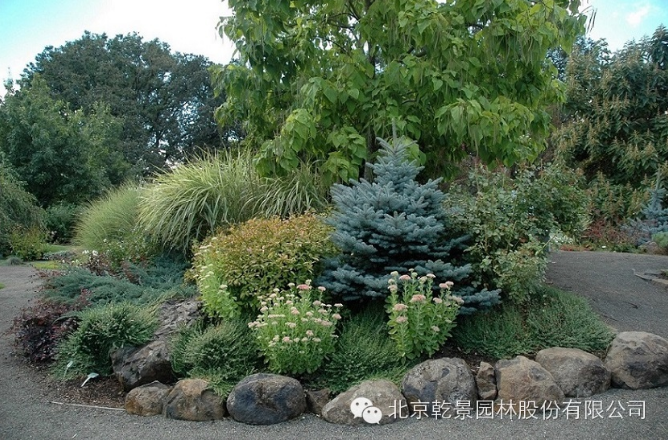 乾景園林【花境系列一】低維護(hù)花境