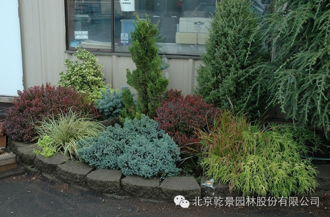 乾景園林【花境系列一】低維護(hù)花境