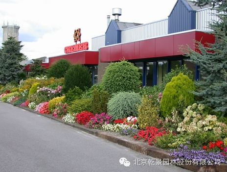 乾景園林【花境系列一】低維護(hù)花境