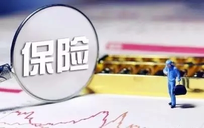 嶺南園林上市這三年