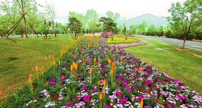 北京懷柔打造園林小城 雁棲湖嵌入林田花海