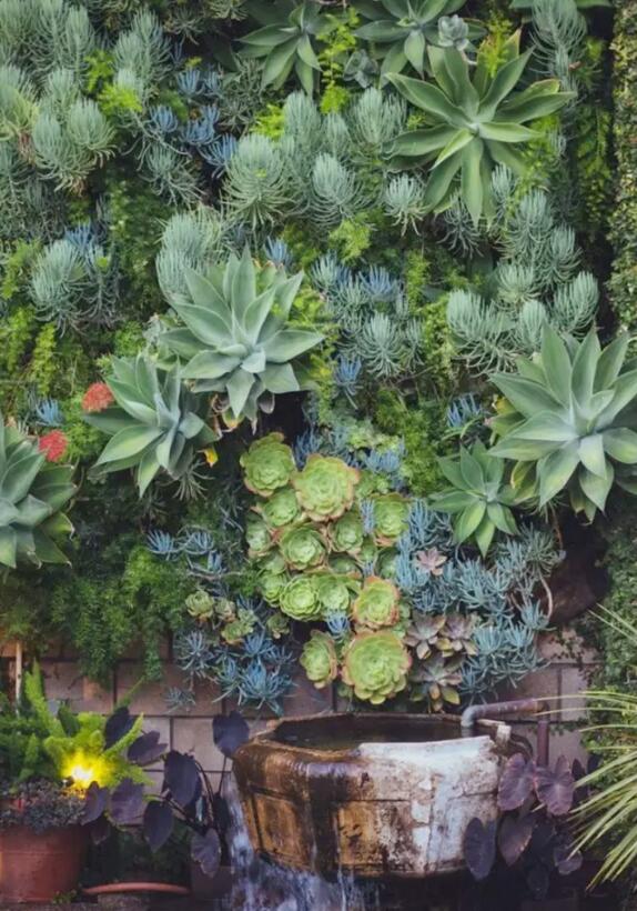 植物墻激活黯然的建筑