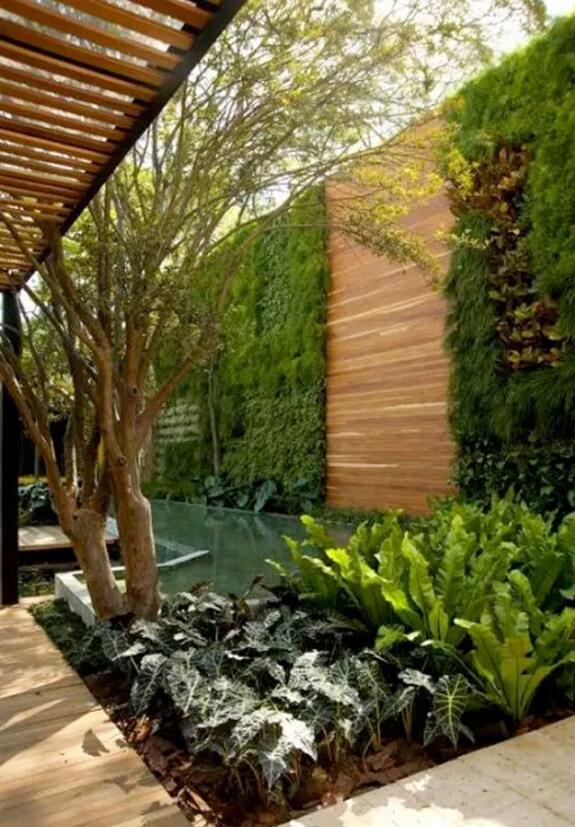 植物墻激活黯然的建筑