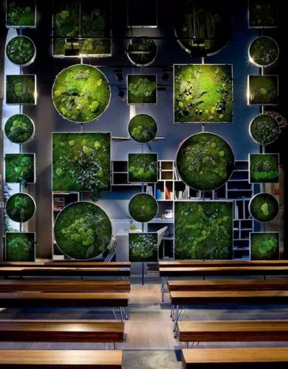 植物墻激活黯然的建筑