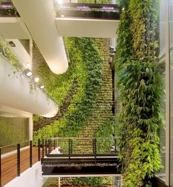 植物墻激活黯然的建筑