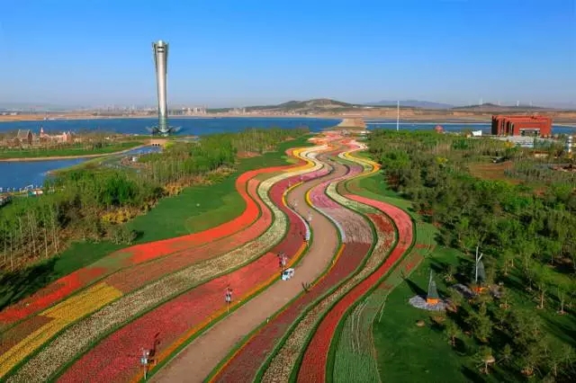 在大東北竟有如此美的花海水系