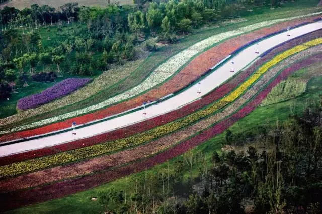 在大東北竟有如此美的花海水系
