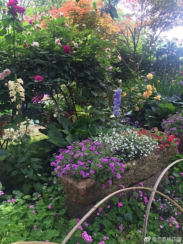 無錫這些秘密的私家花園