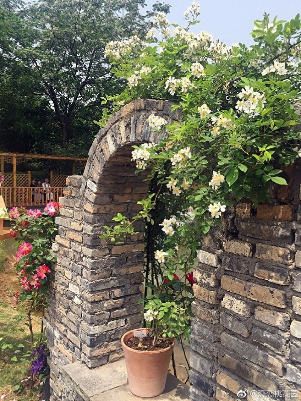 無錫這些秘密的私家花園