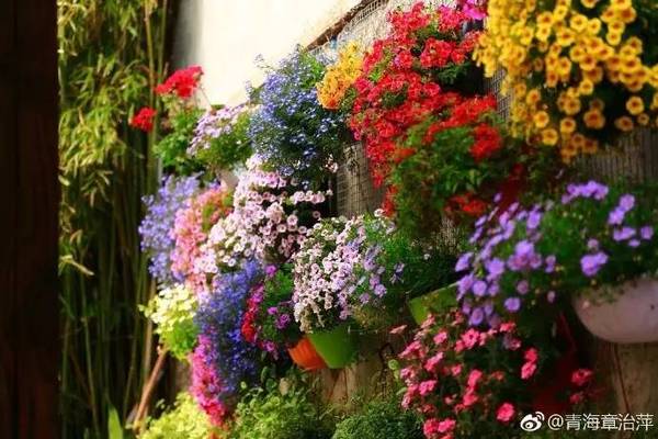 無錫這些秘密的私家花園