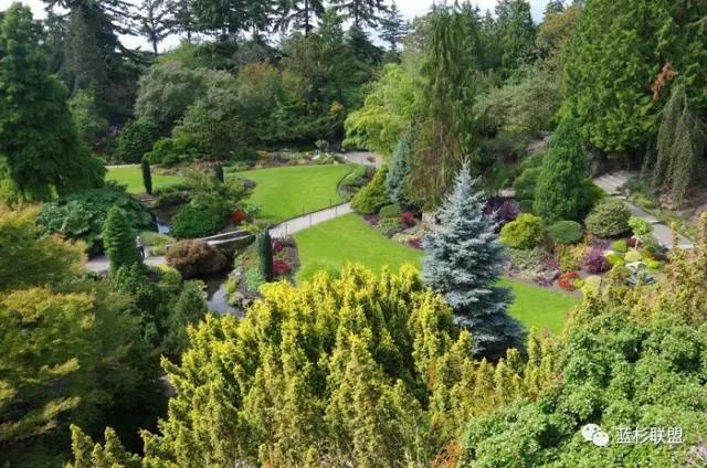 科羅拉多藍杉:從銷量看發展