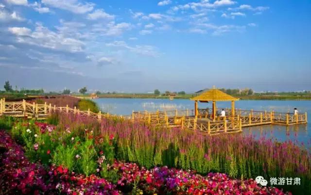 美麗的張掖國家濕地公園