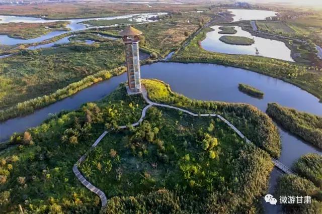 美麗的張掖國家濕地公園