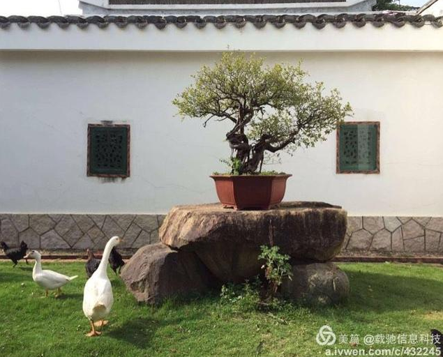 福建泉州閩中私家文化名園——錦園