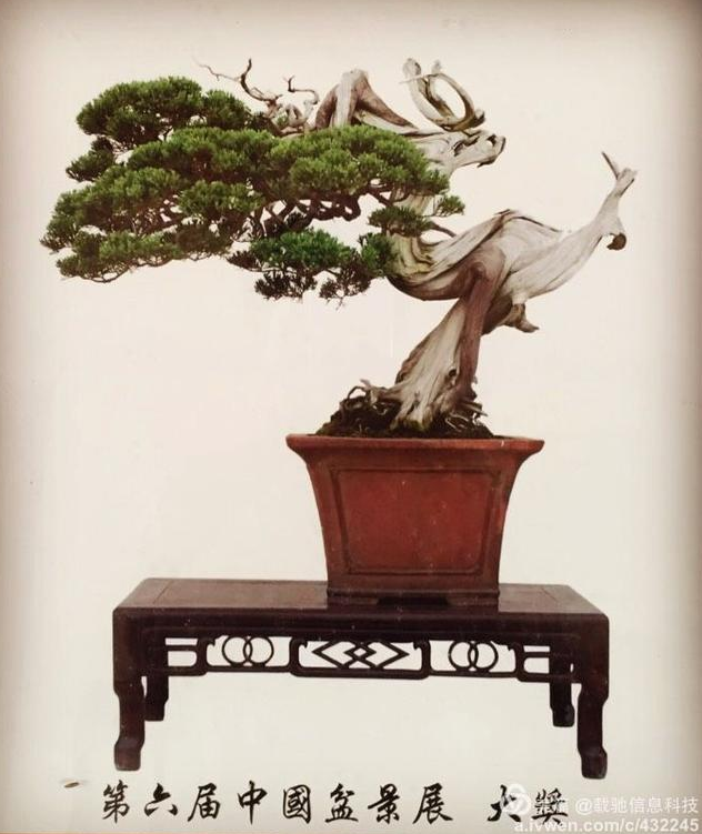 福建泉州閩中私家文化名園——錦園