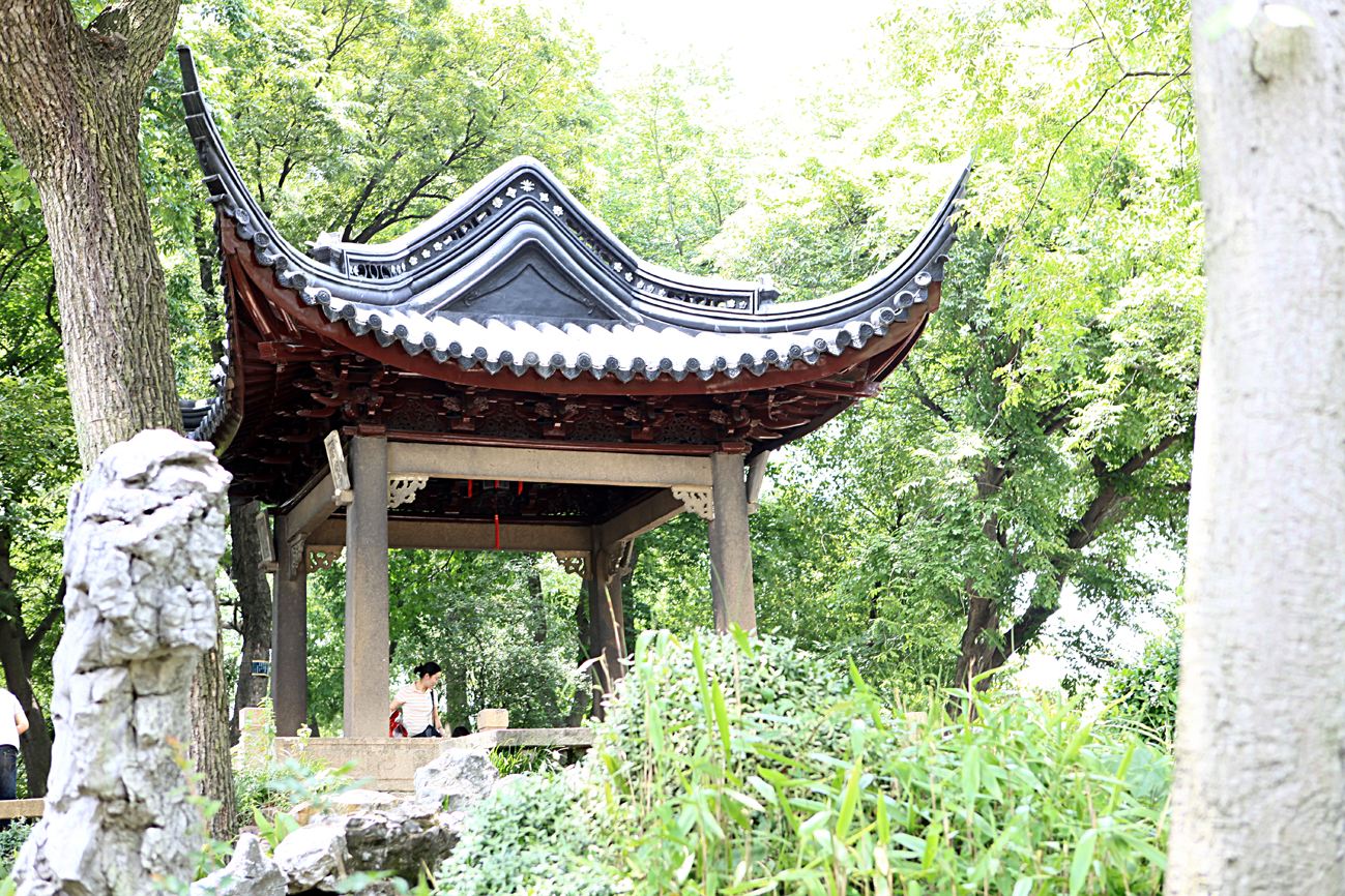 中國南方古典園林的典型代表：蘇州園林