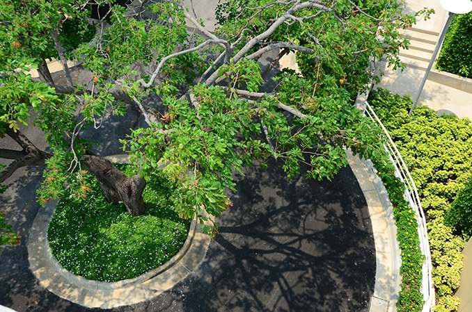 泰國萬韋伊萊低層住宅區(qū)景觀設(shè)計項目賞析