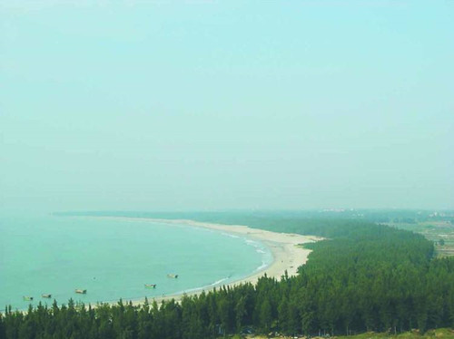 兩部委印發全國沿海防護林建設工程規劃